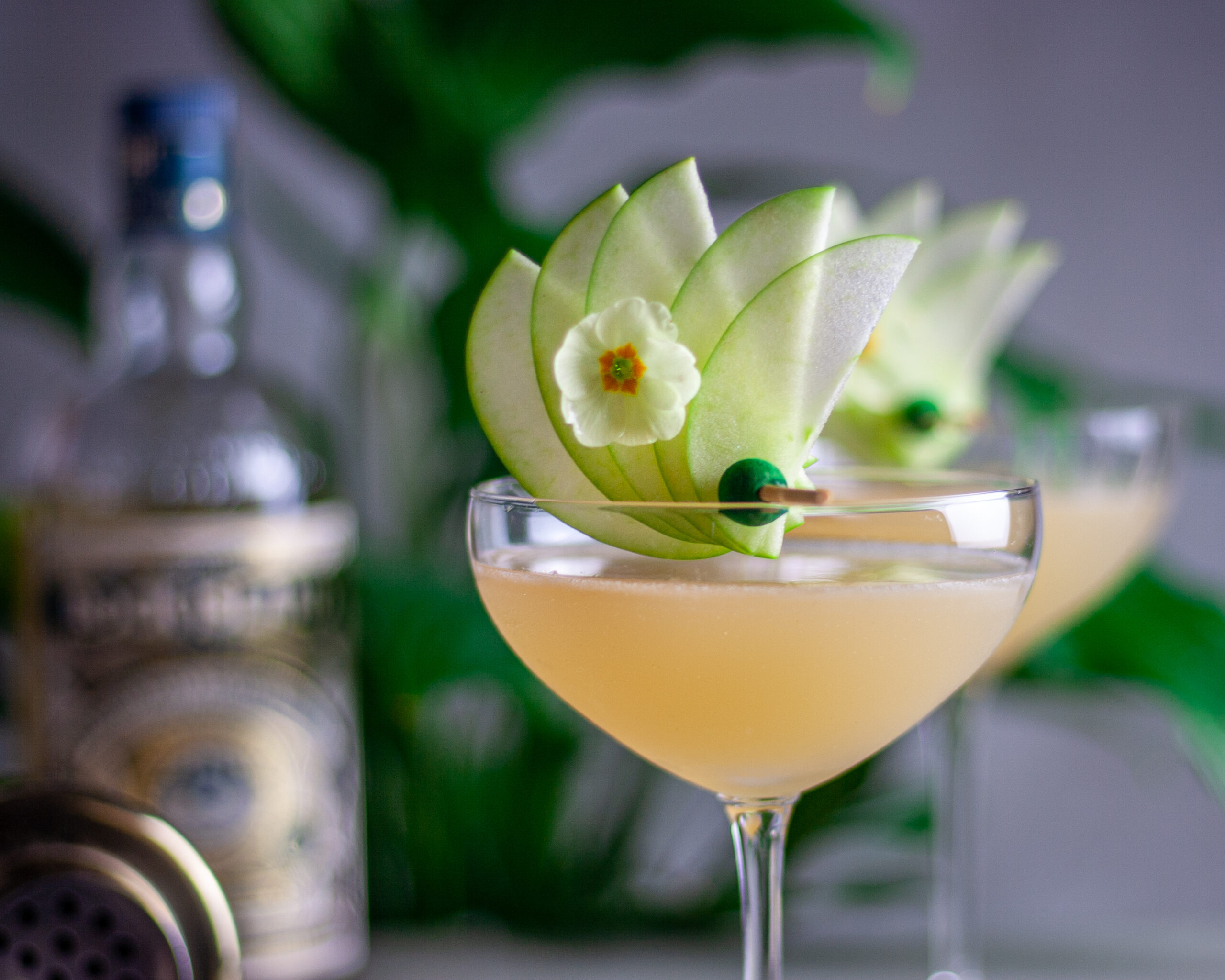 Rock Island Margarita Cocktails & Culture